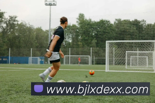 百家乐网站发展历程